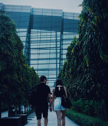 Compañeros Online en San José Conexiones y Oportunidades en la Era Digital