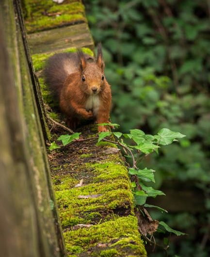 Citas Anónimas Una Forma de Conocer a Alguien sin Revelar tu Identidad
