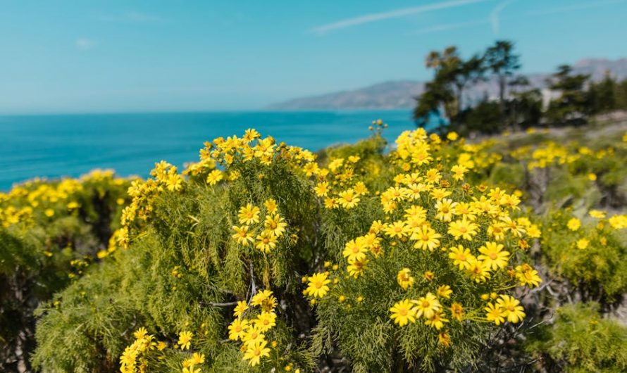 Sitios de citas discretas y seguras para mantener tu privacidad