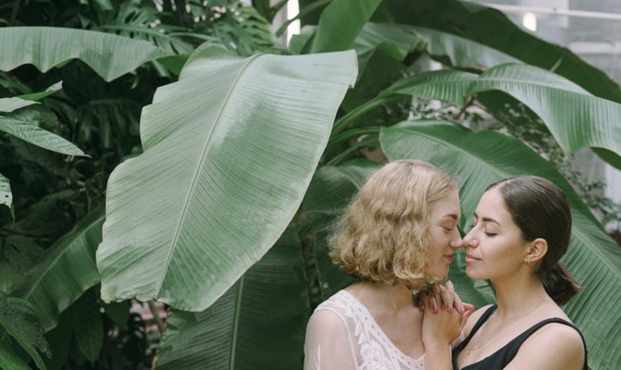 Chat de video en Ecuador: una nueva forma de comunicarse